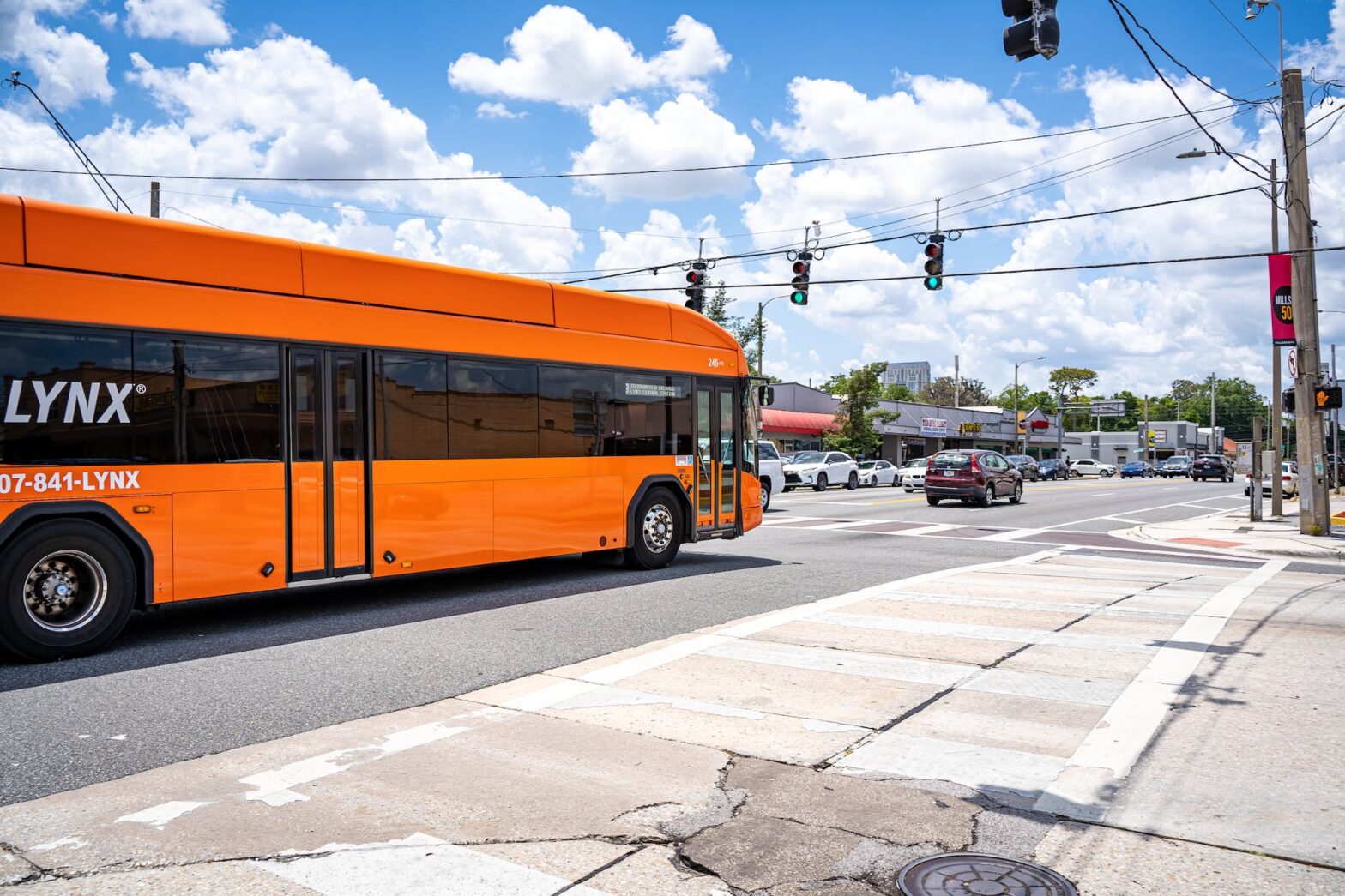 orange and black bus on the road